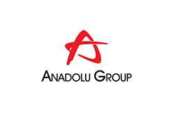 Anadolu Grup
