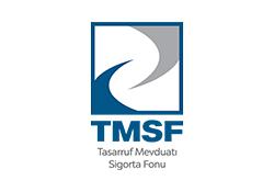 Tmsf