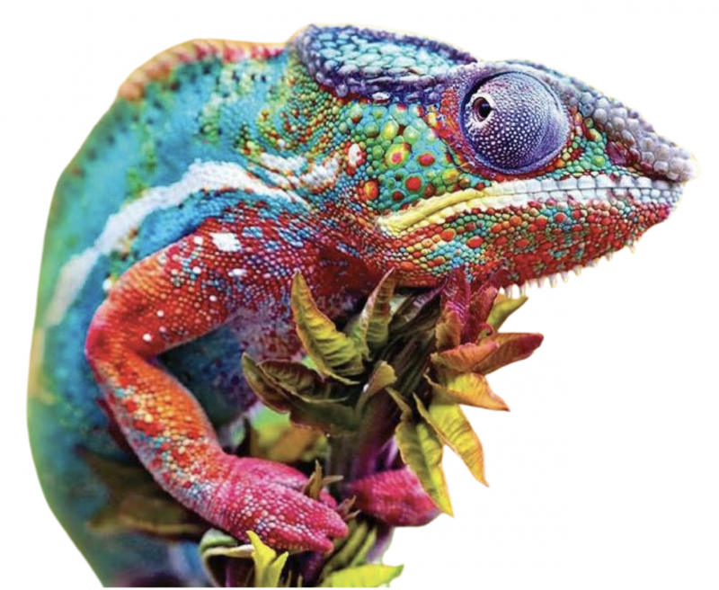 CRETOX Haute Couture | Özel Model Üretimi